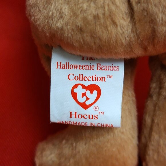 Hocus The Bear Holding Pumpkin Spider on Head 2005 The Halloweenie Beanies Colle - Picture 5 of 12
